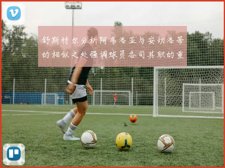 舒斯特尔分析阿韦洛亚与安切洛蒂的相似之处强调球员各司其职的重要性